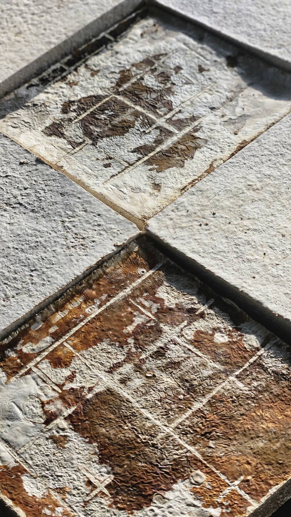 MUSH material panels with ivory, charcoal and amber biological patterns, photographed in daylight