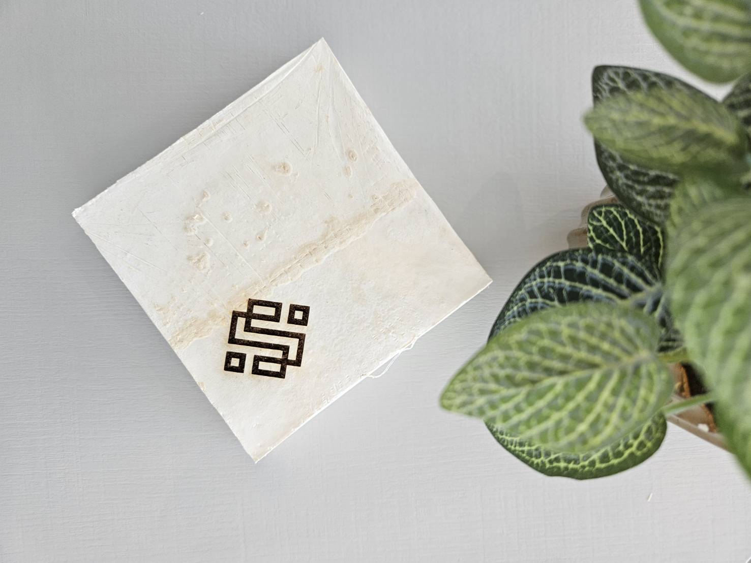A real MUSH material sample with an earlier brand mark, photographed with leaves