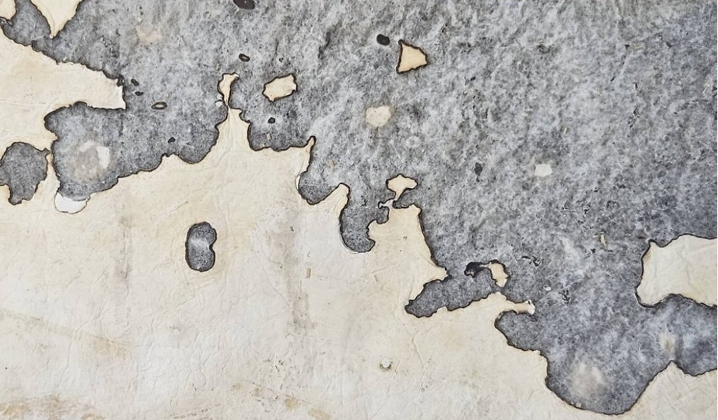 Close view of grey and ivory biological pattern in a MUSH material surface